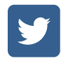 Twitter icon