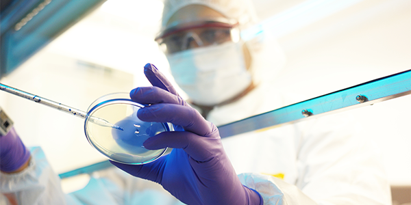 a scientist in safety glasses and a face mask pipetting into a petri dish from behind a glass protective shield.