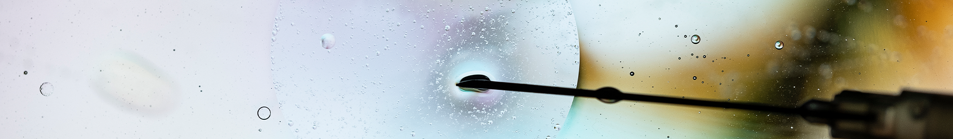 close up of a needle being inserted into a cell