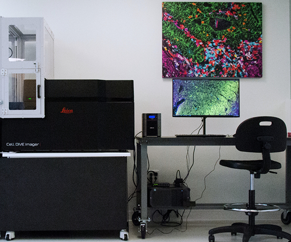 picture of an office space with a desk, chair, screen and leica branded machines