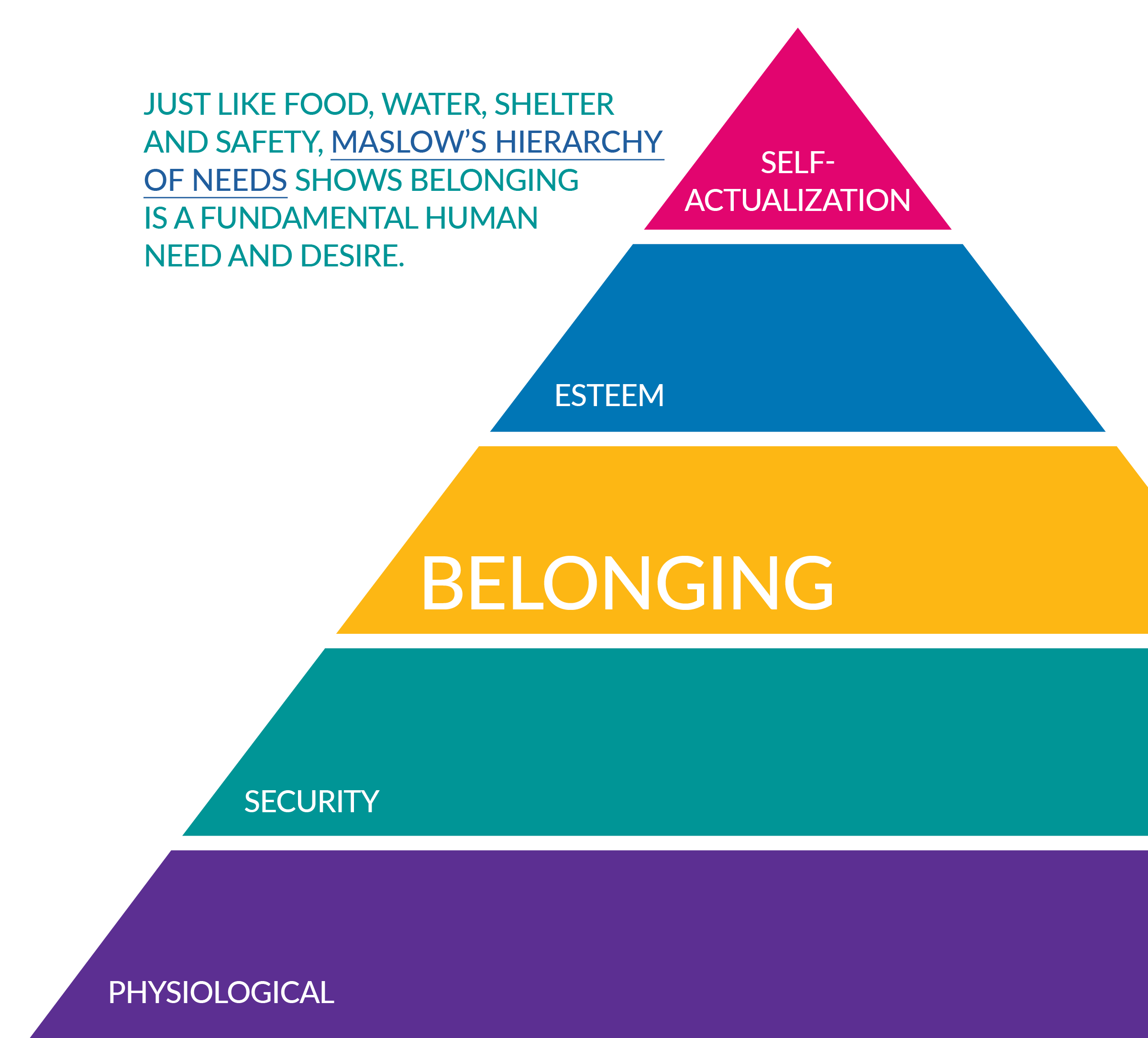 Diversity Belonging Davita Culture Davita Migration