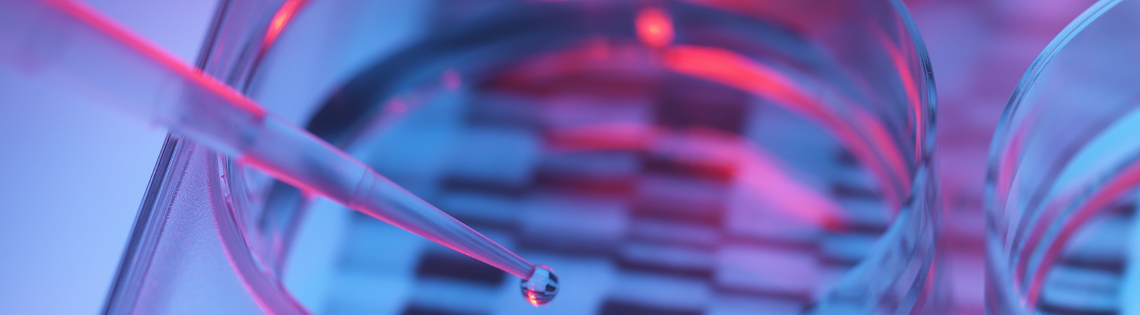 1748339794399_1745333360923_ScienceTechnologyTopImage_Resized-1588952973591