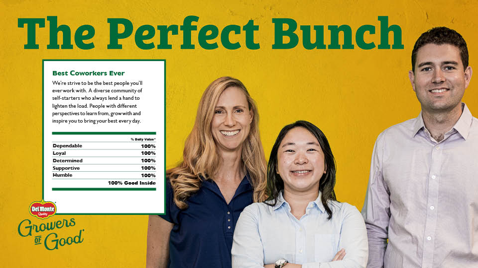 01335_07-25_DMF_EVPPeople_websitegraphics_theperfectbunch