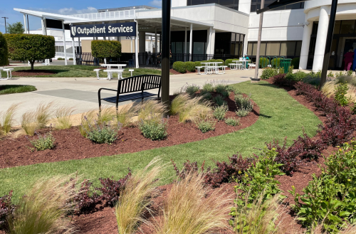 Grass and flower views in the reflection garden.