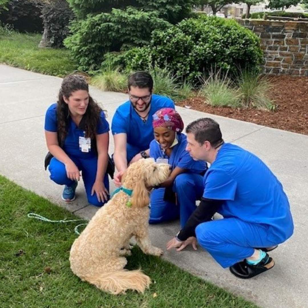 Team members pets a therapy dog on the Duke campus..