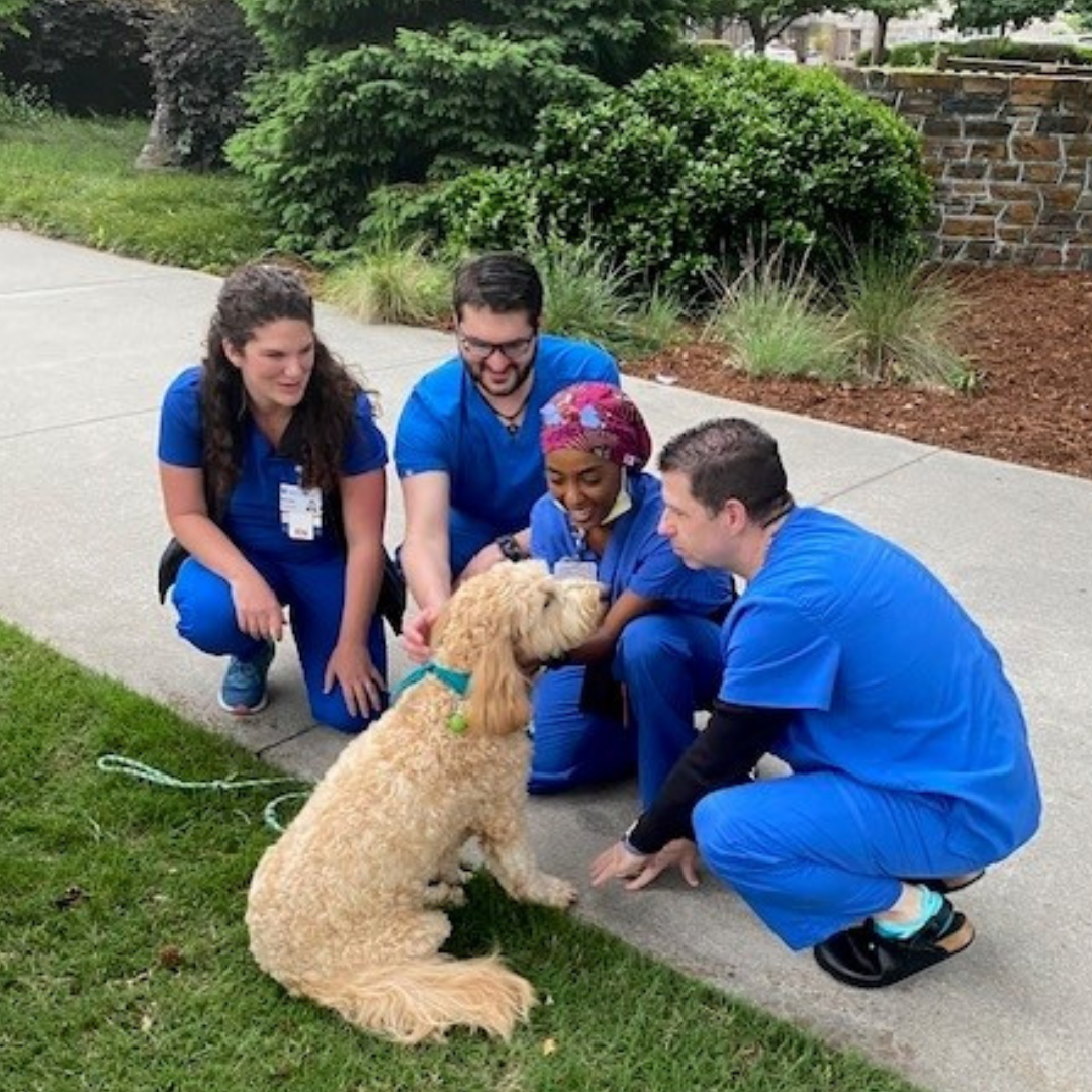 Team members pets a therapy dog on the Duke campus.. 