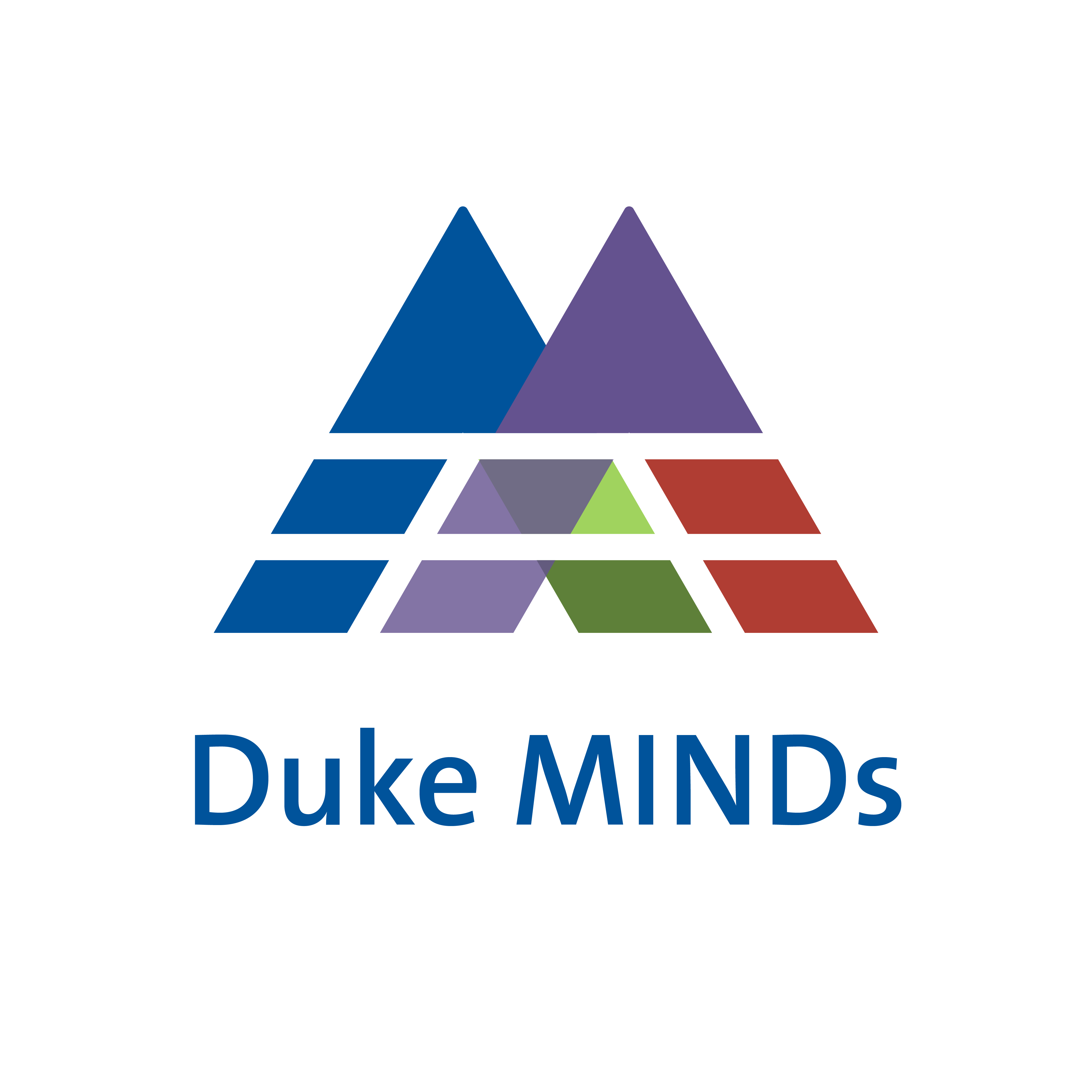 Duke Minds graphic with blue triangles.