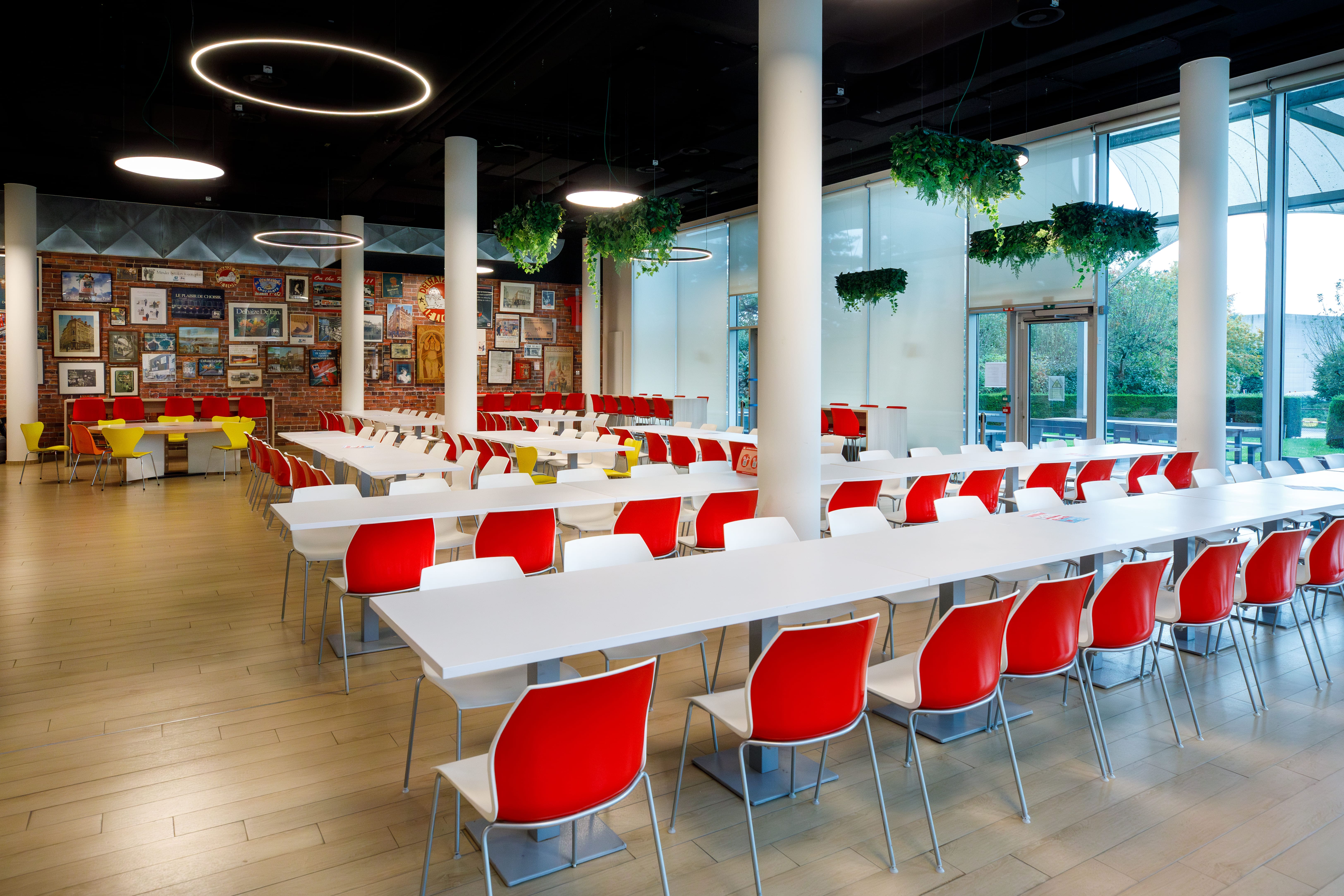 177_Delhaize_Asse_HQ_Office_Interiorbranding