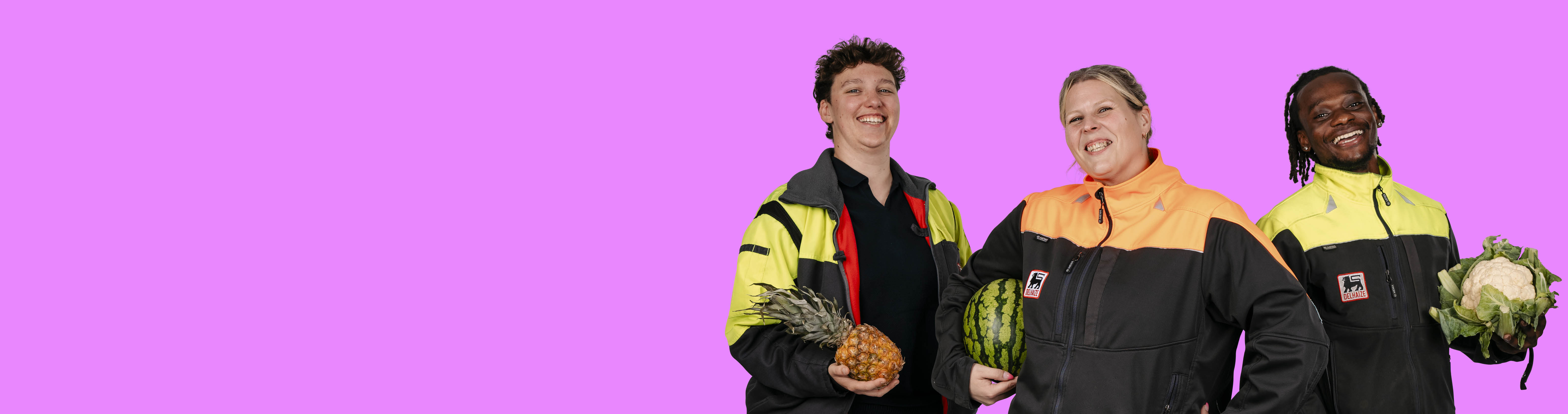 HeroImage_overDElhaize_1525x43010