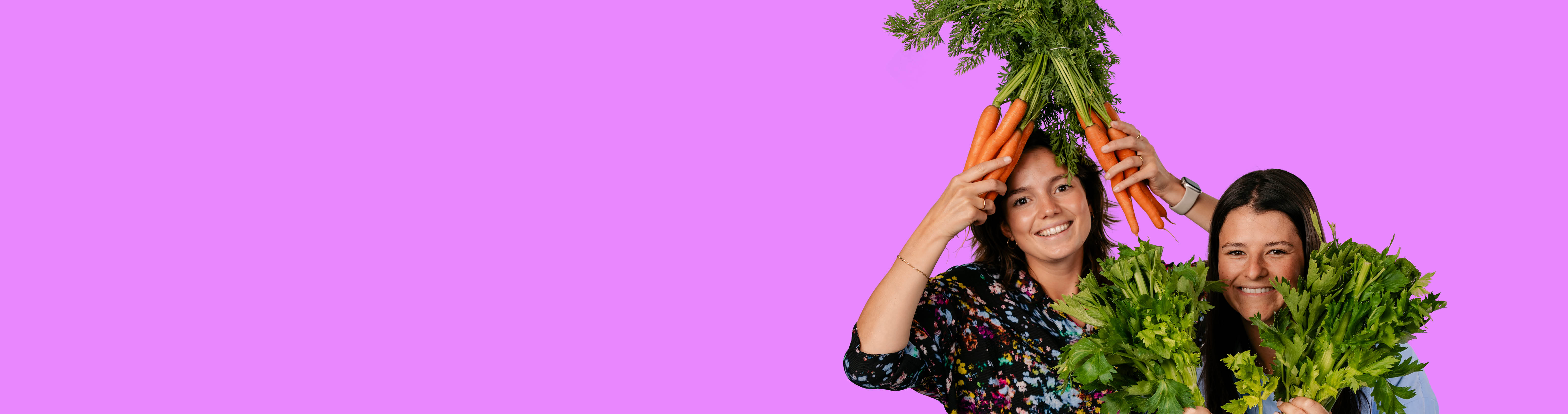 HeroImage_overDElhaize_1525x43022