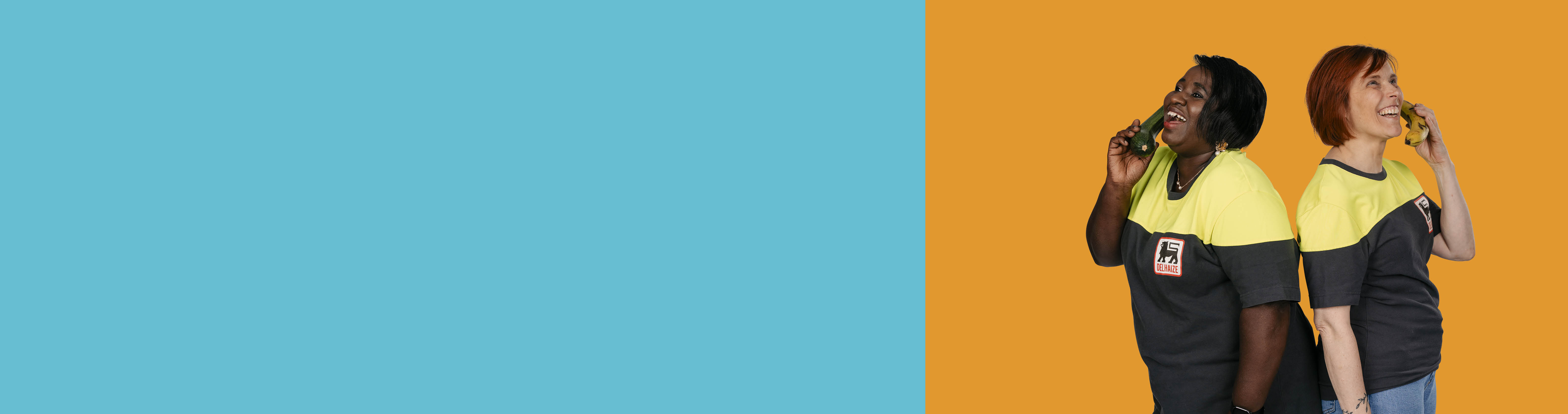HeroImage_overDElhaize_1525x4303