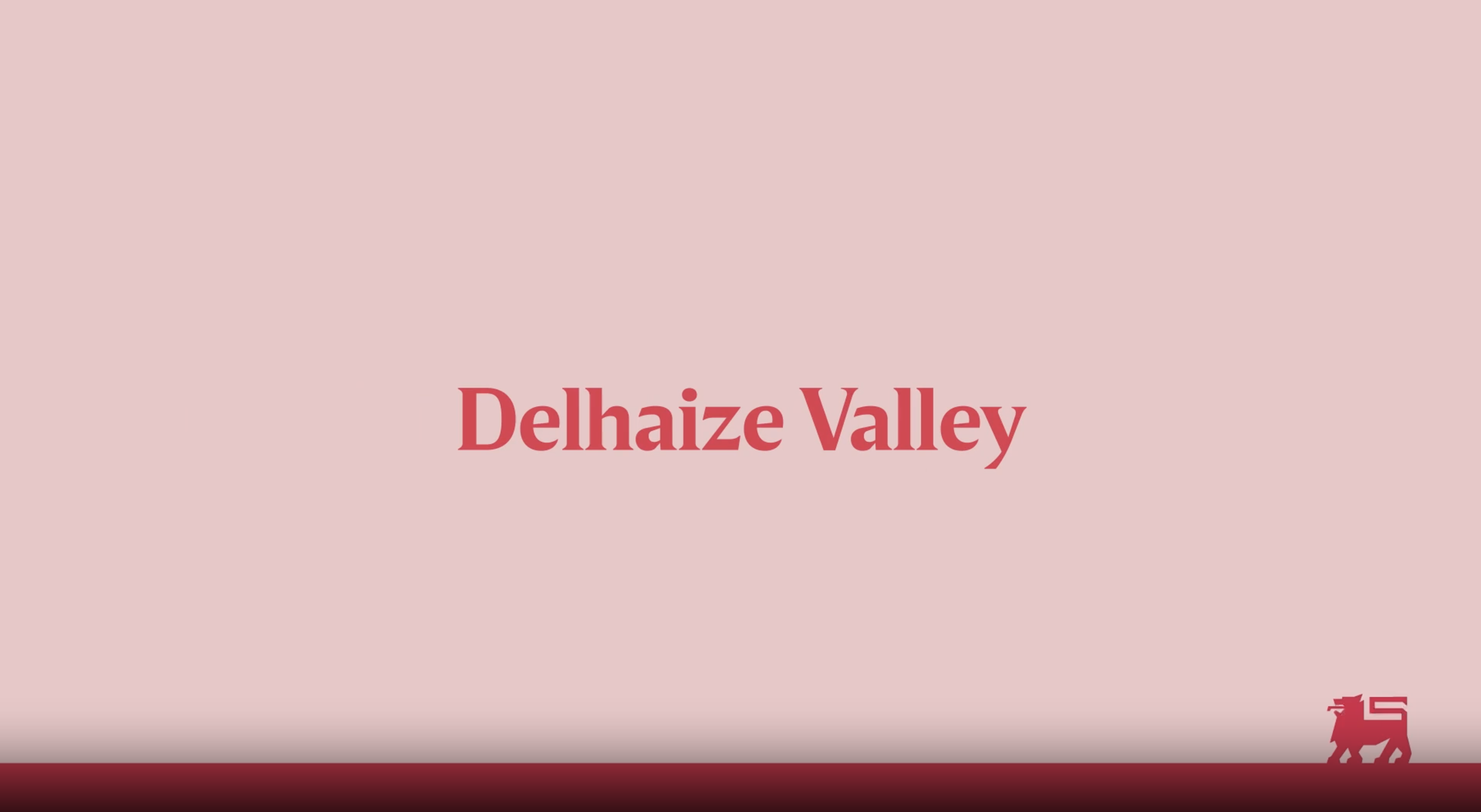 Delhaize Learning HQ