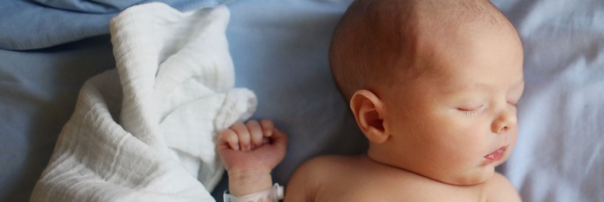 obhlabordelivery-hero