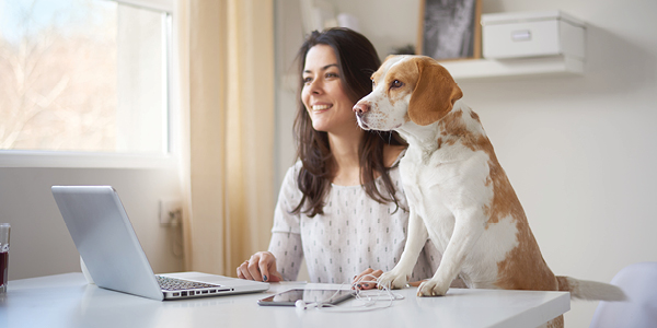 25-31701Images-NewCDPHPCareerPortal_46