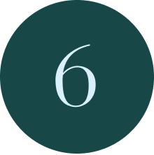 no6