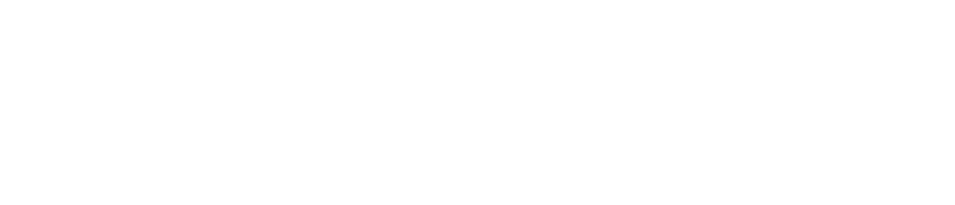 Logo11