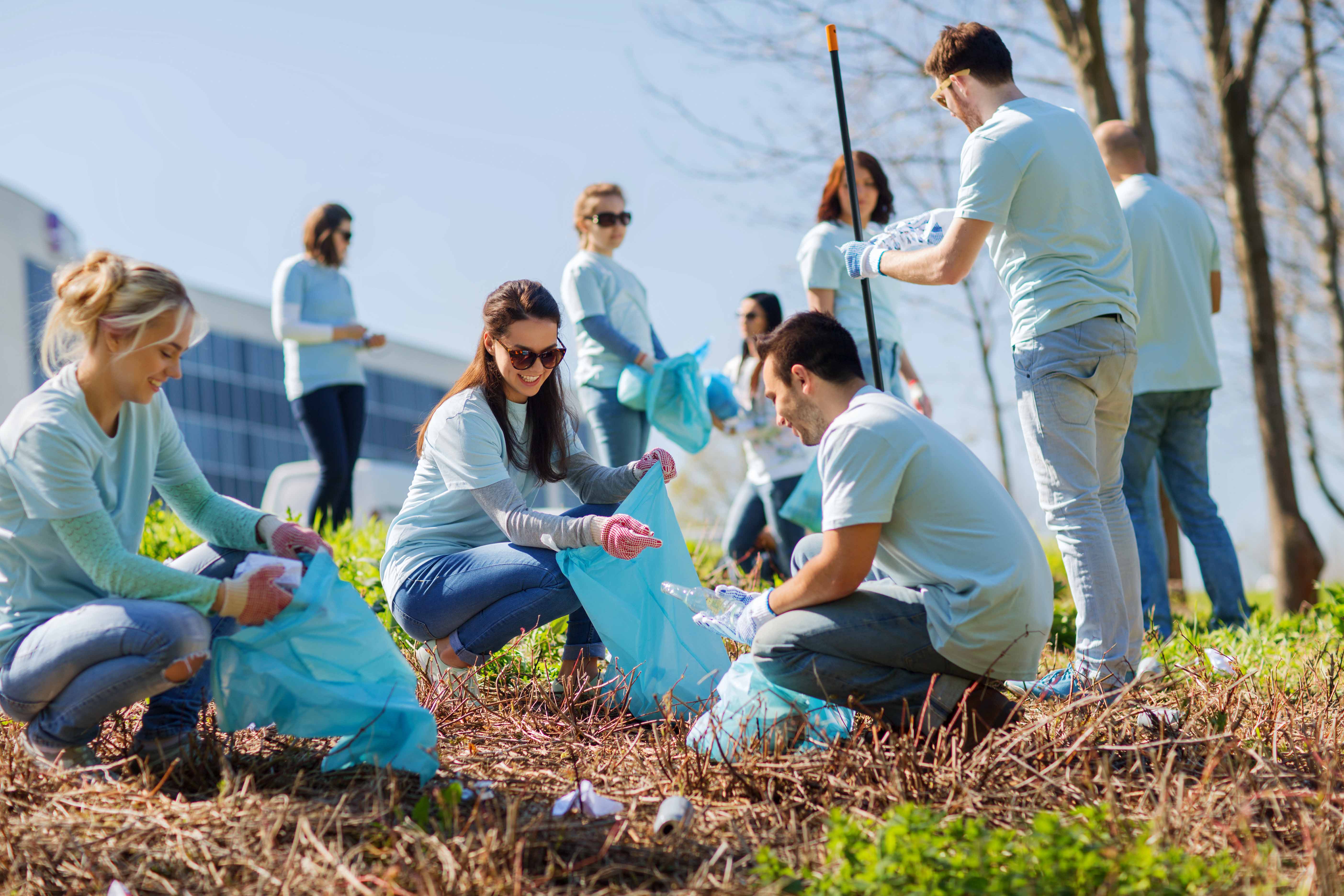 Employees volunteering