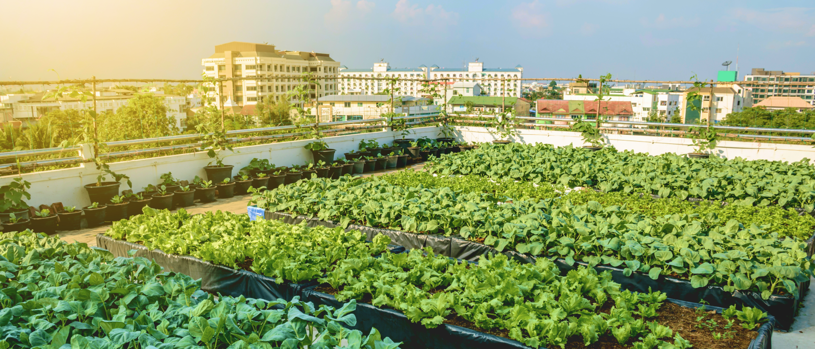 Sustainability