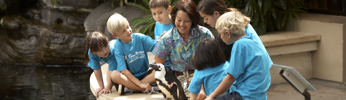 Team Member volunteering during service week