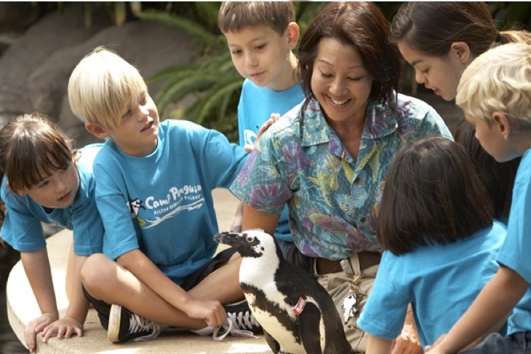 Careers At Hilton Hilton Job Opportunities