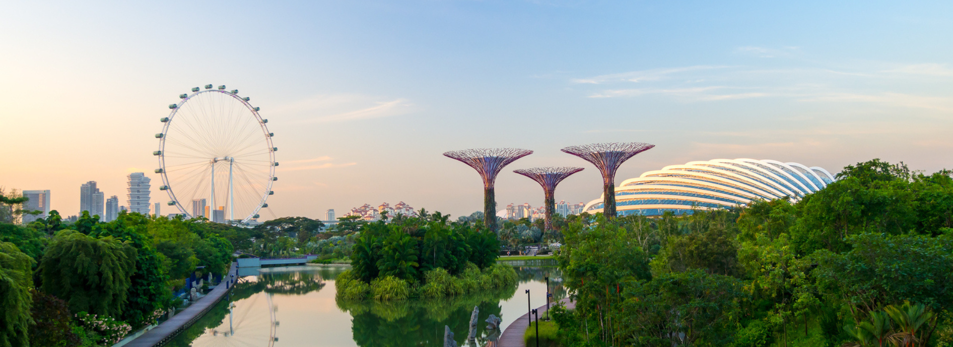 A panoramic view of Singapore’s Gardens by the Bay, featuring the Supertree Grove, Singapore Flyer Ferris wheel, and domed conservatories surrounded by lush greenery under a clear sky.