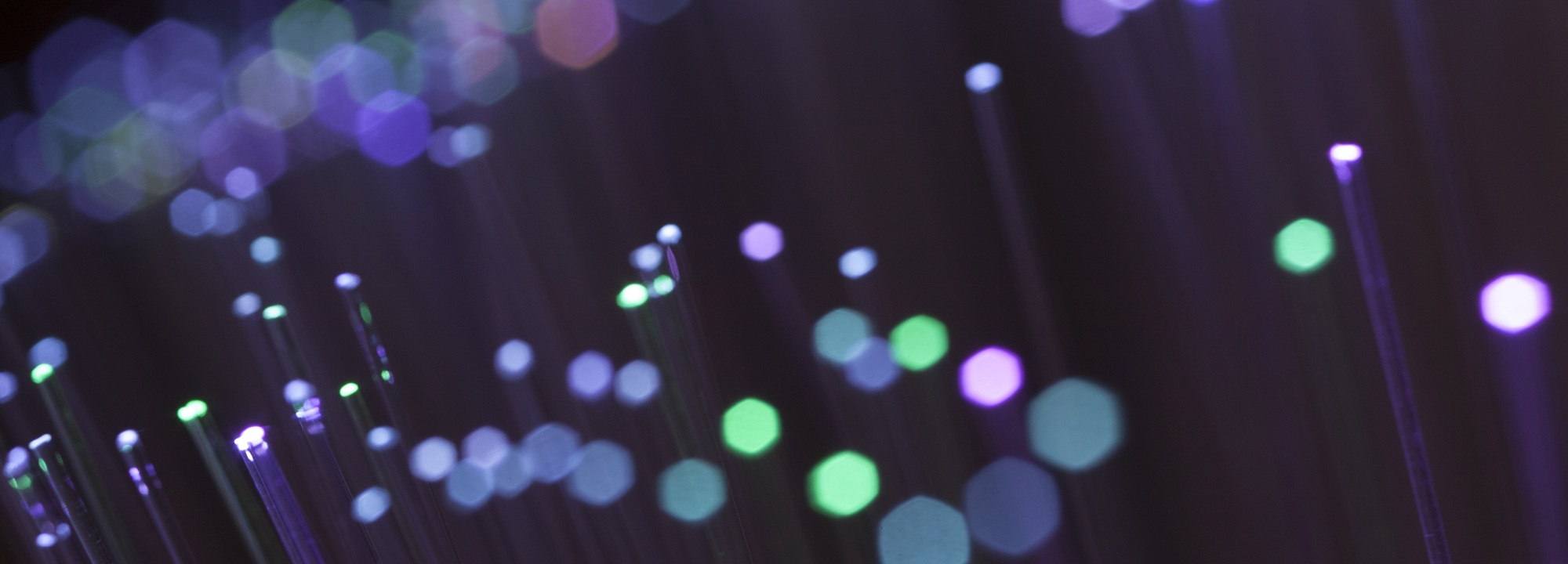 EC-Foucs-Abstract