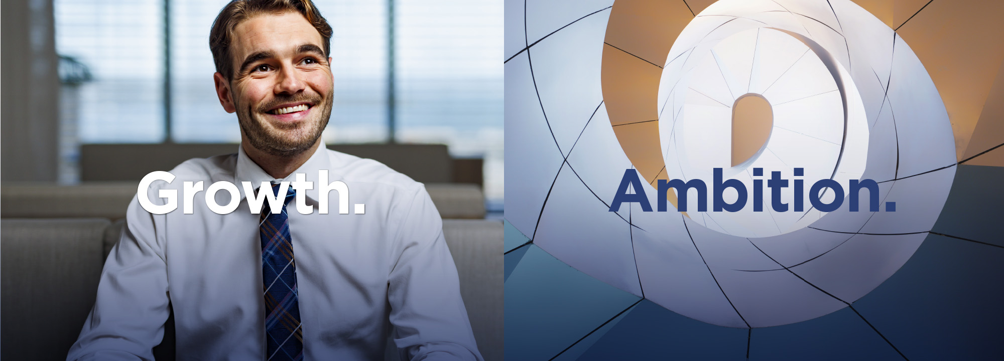 aus-ec-lewis-mcnamara-banner