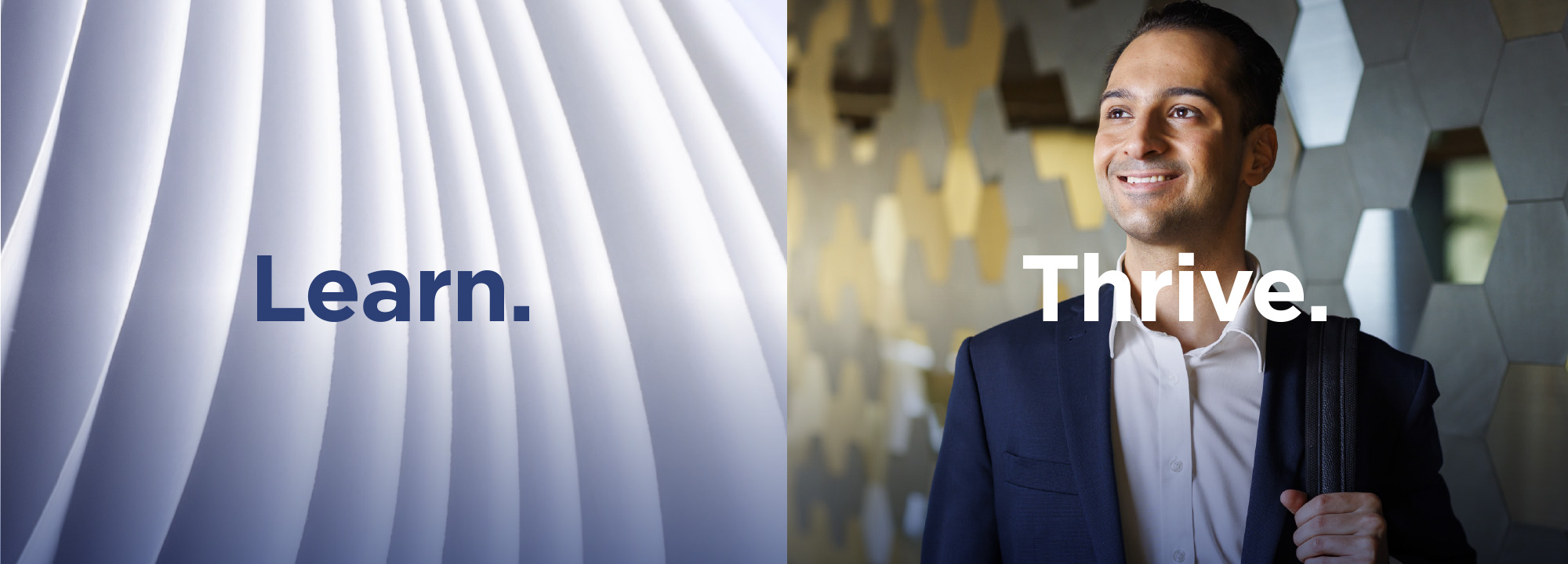 aus-ec-michael-vamiadakis-banner