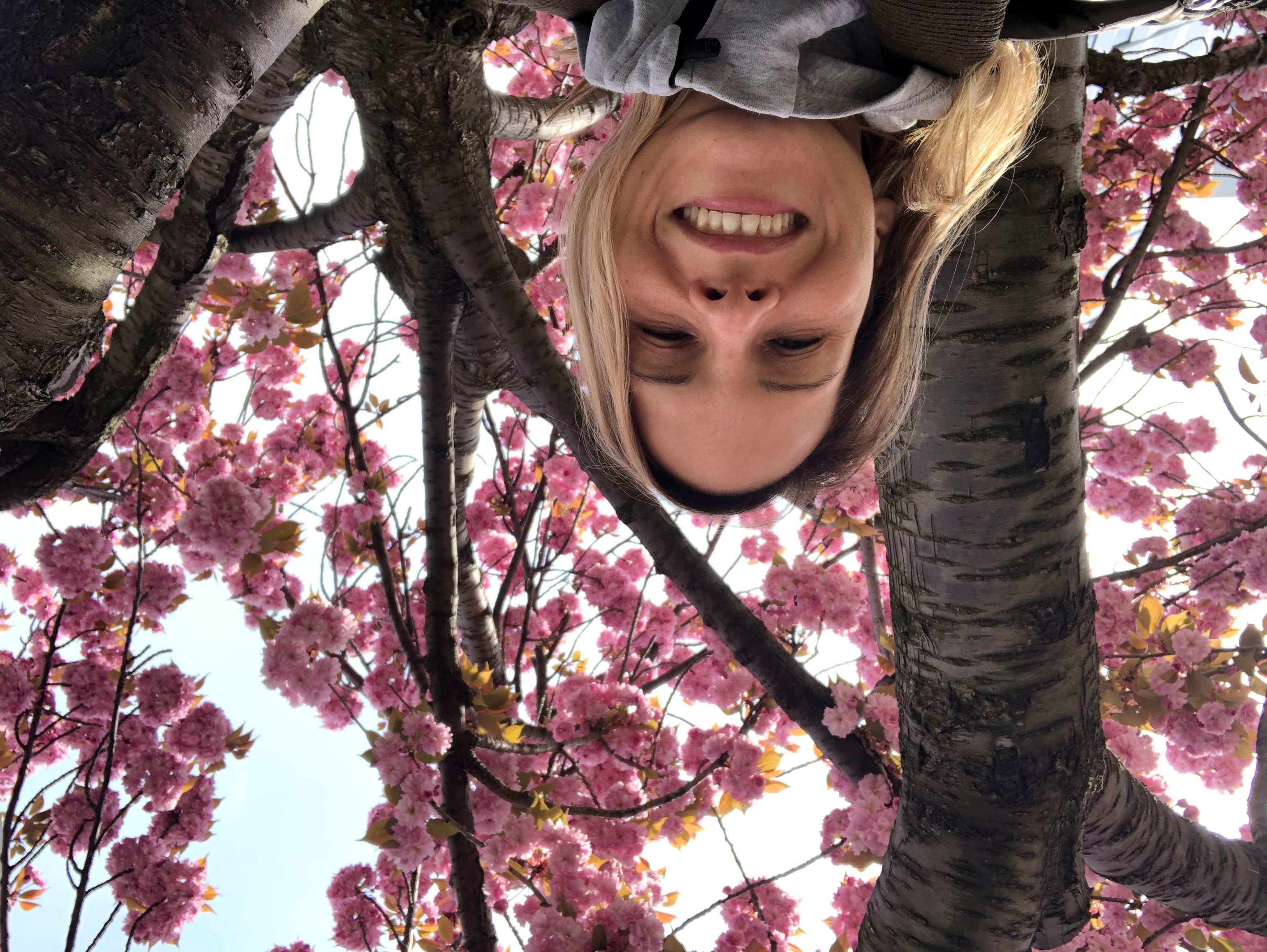 Andrea profile picture