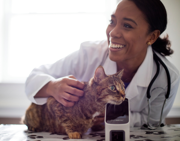Female black veterinarian with calico cat