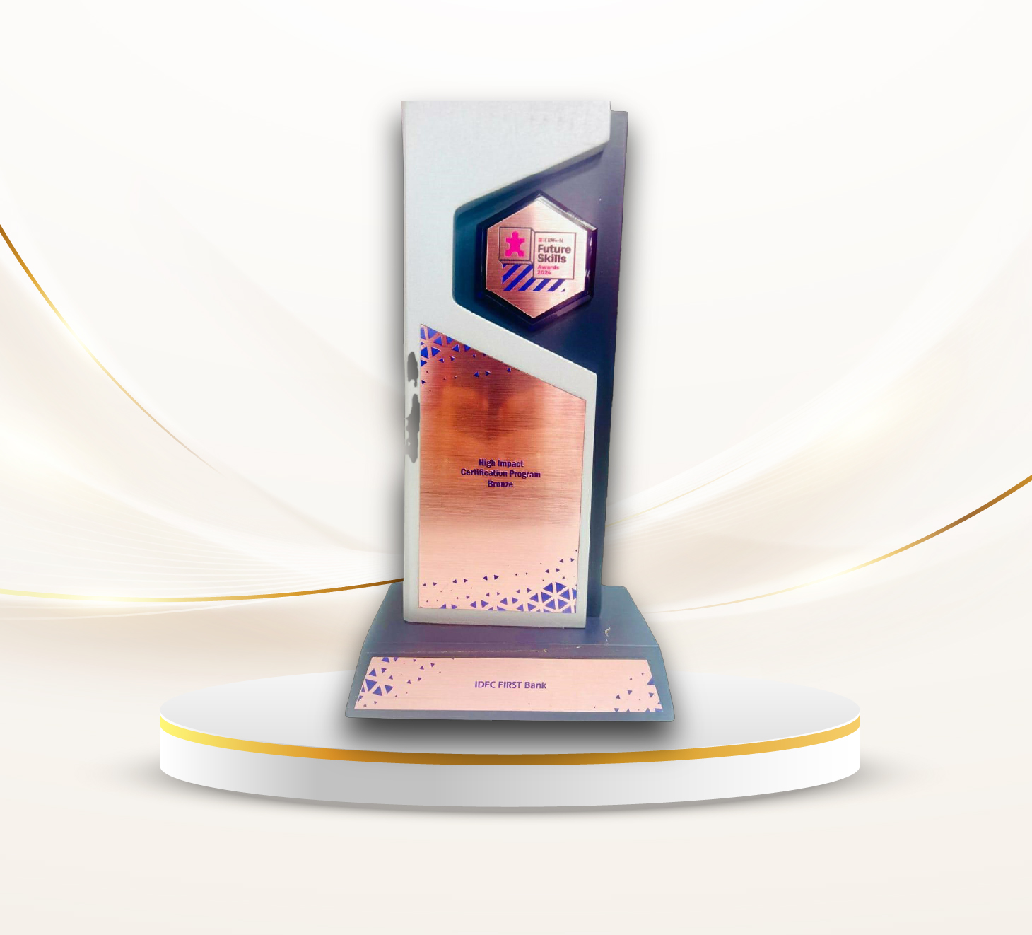 brandonHall-Award_350X317