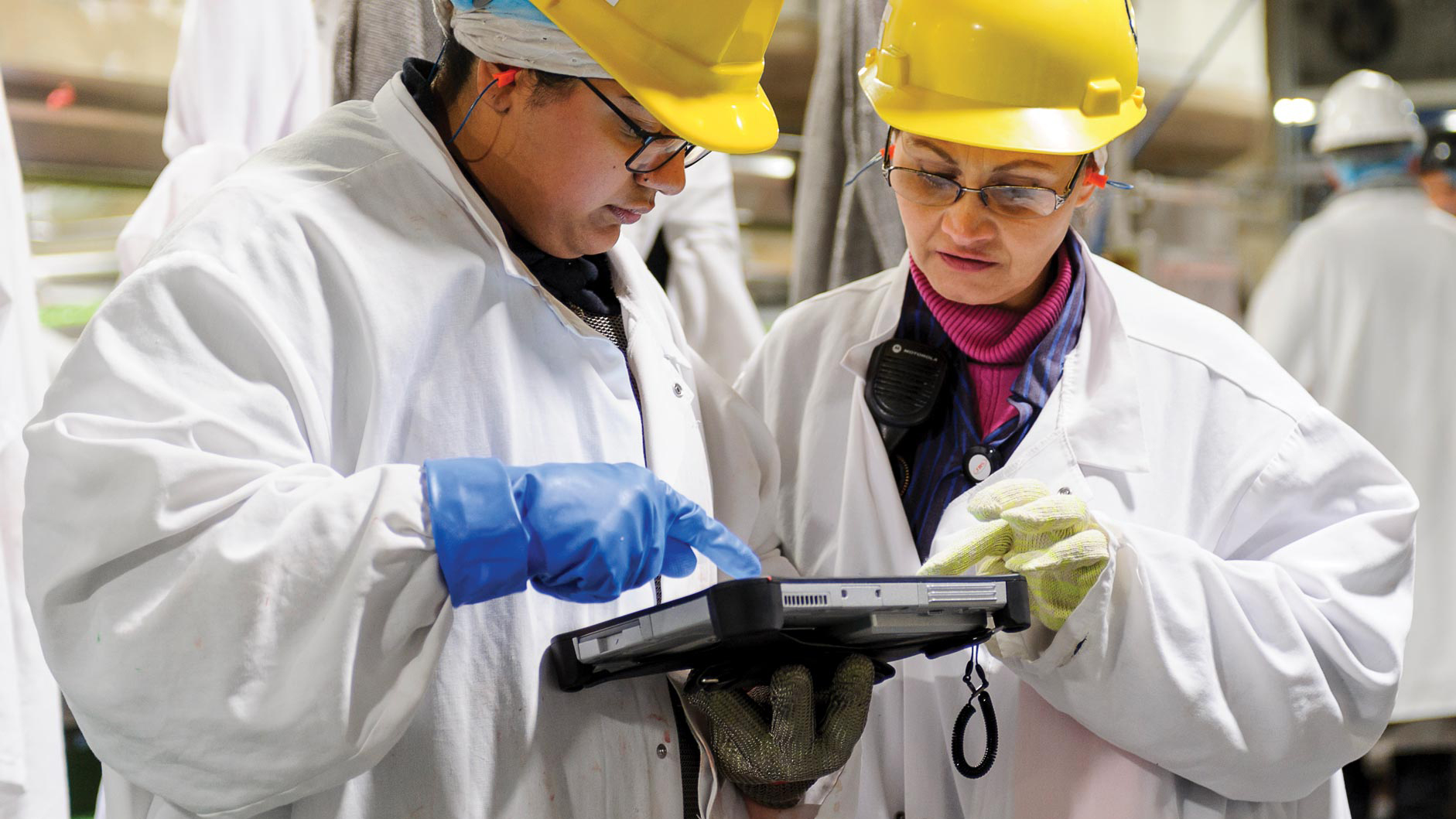 Jobs at JBS USA JBS Foods