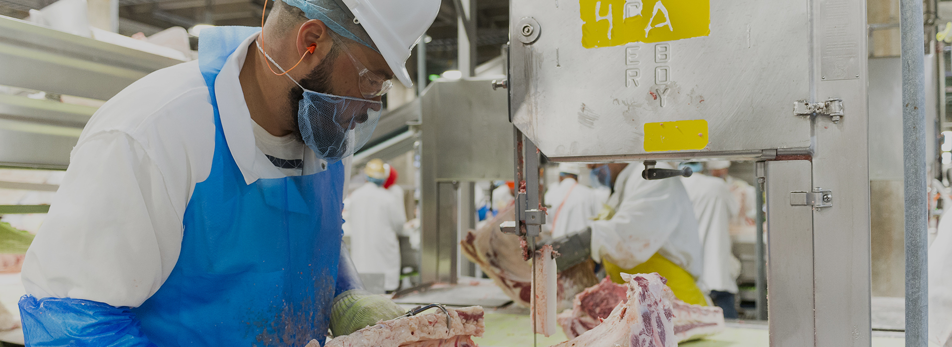 Our Benefits JBS Foods