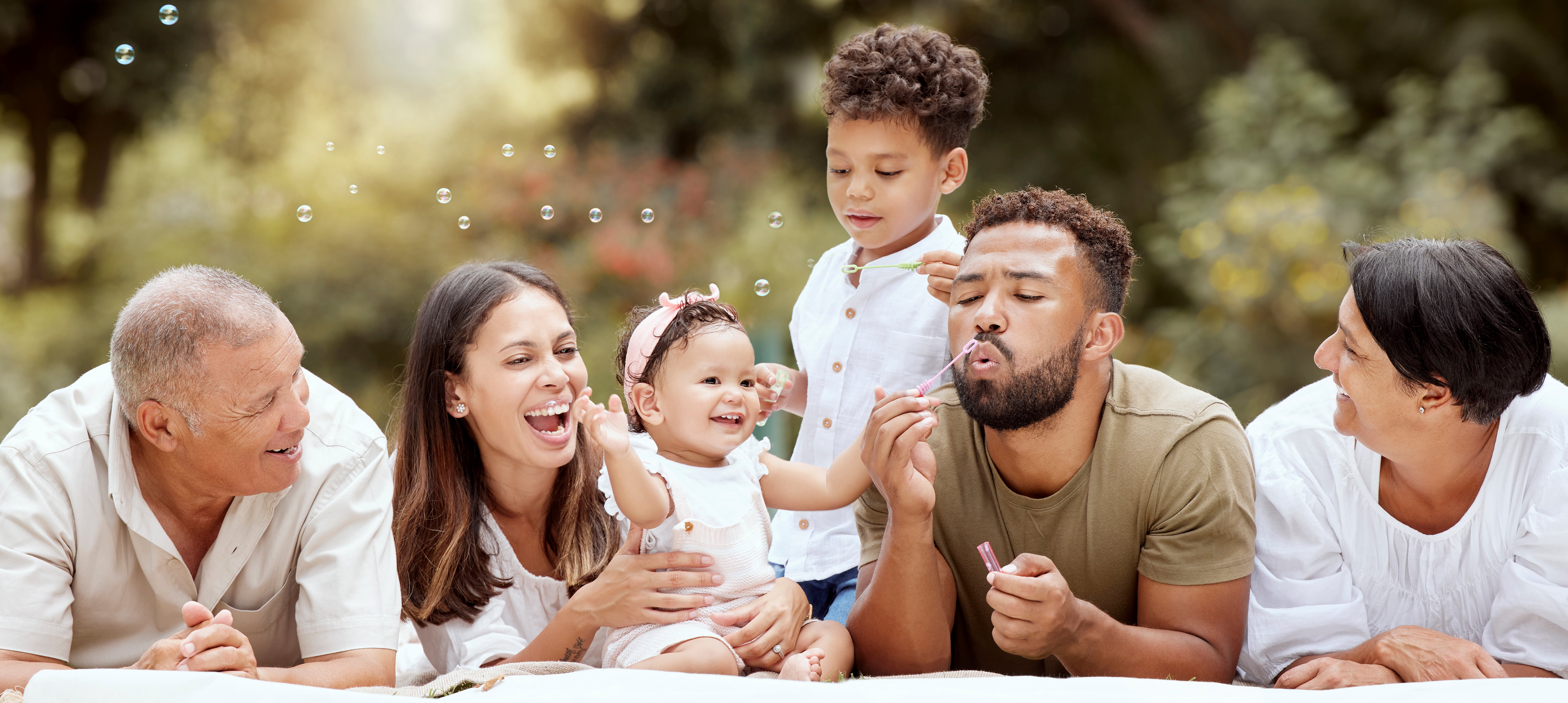 Image of a family having a picnic.