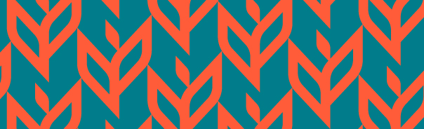 Orangebanner-thin