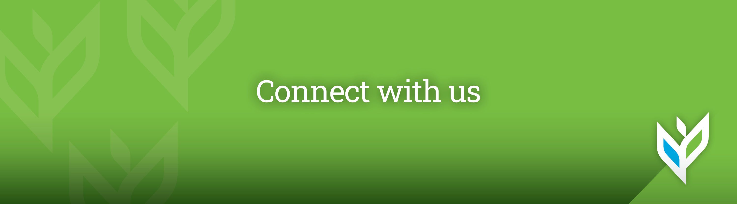 Vivie_PhenomHeaderImages_Connectwithus
