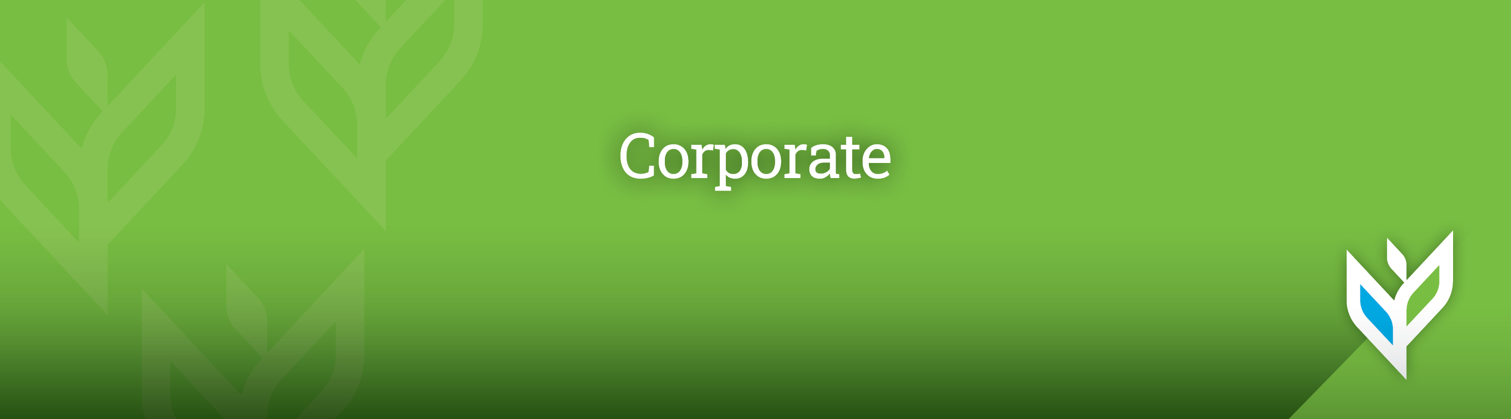 Vivie_PhenomHeaderImages_Corporate