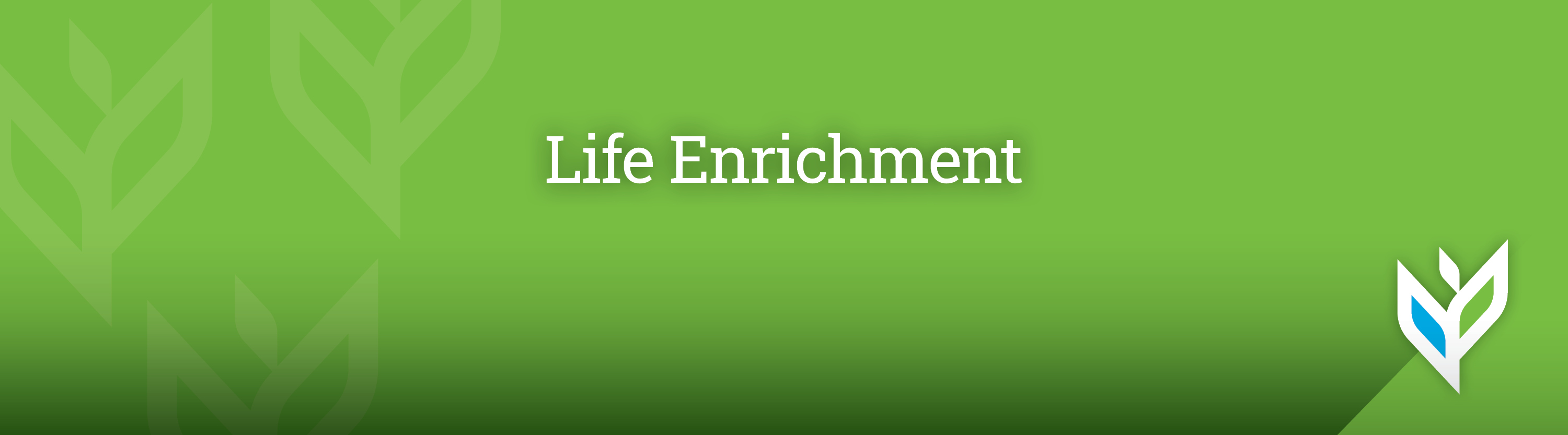 Vivie_PhenomHeaderImages_LifeEnrichment
