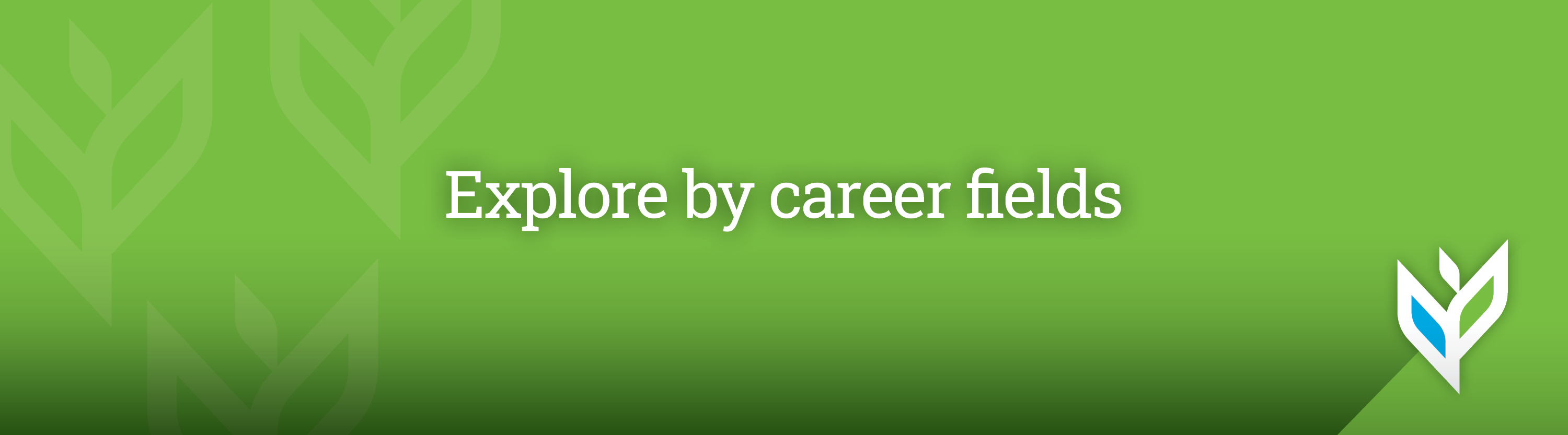 Vivie_PhenomHeader_Explorebycareerfields