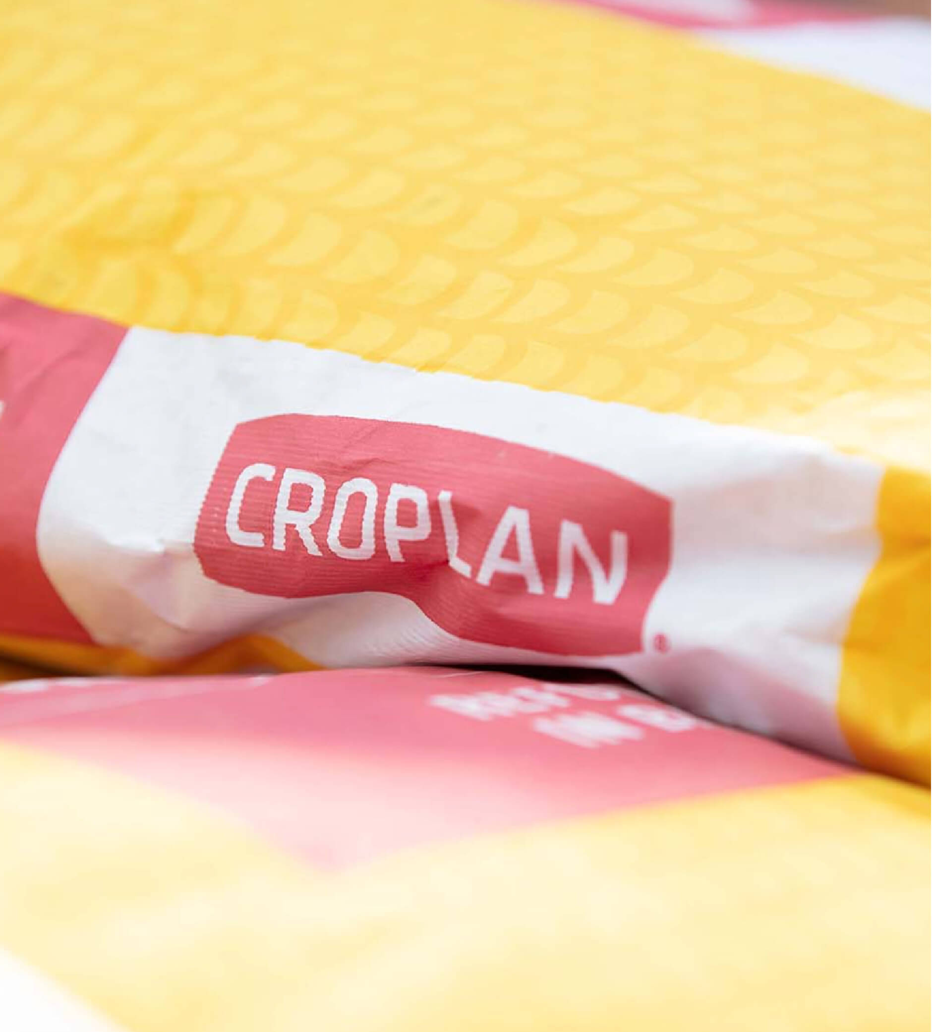 Croplan-corn-seed-bag
