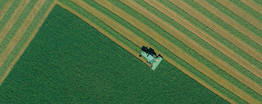 Hannah Braaten Local Retail Intern