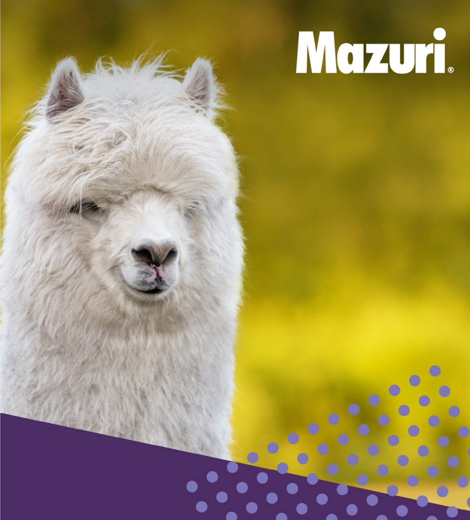 Mazuri-Feed