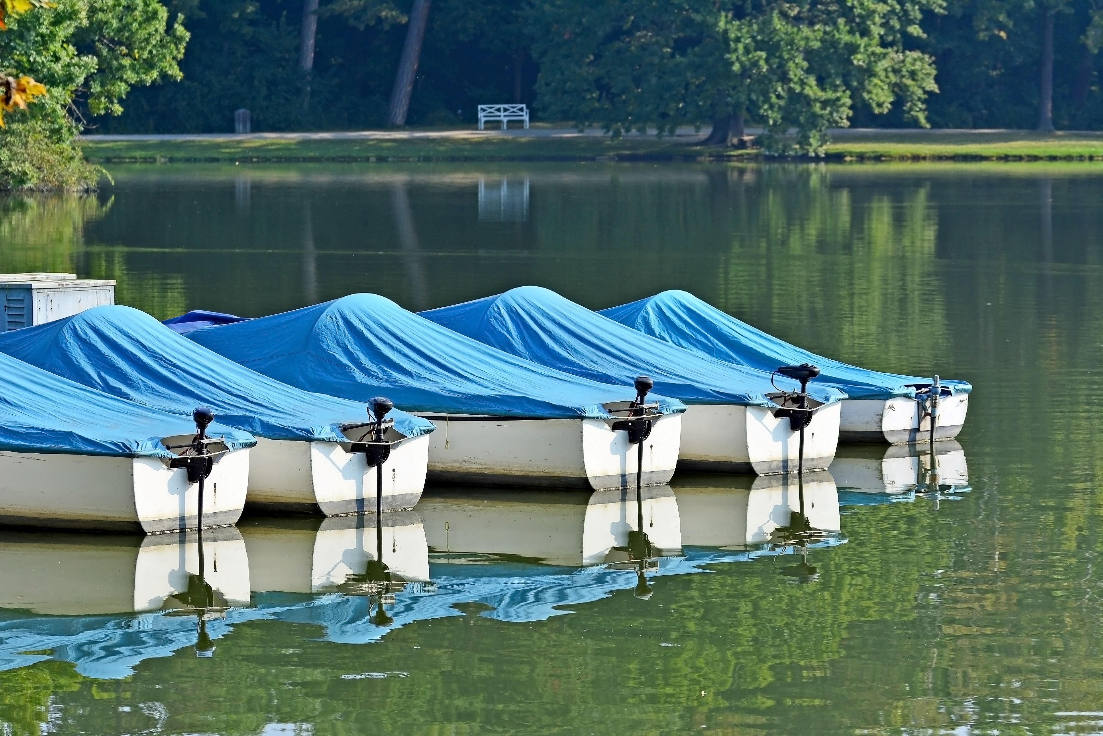Tarpaulin
