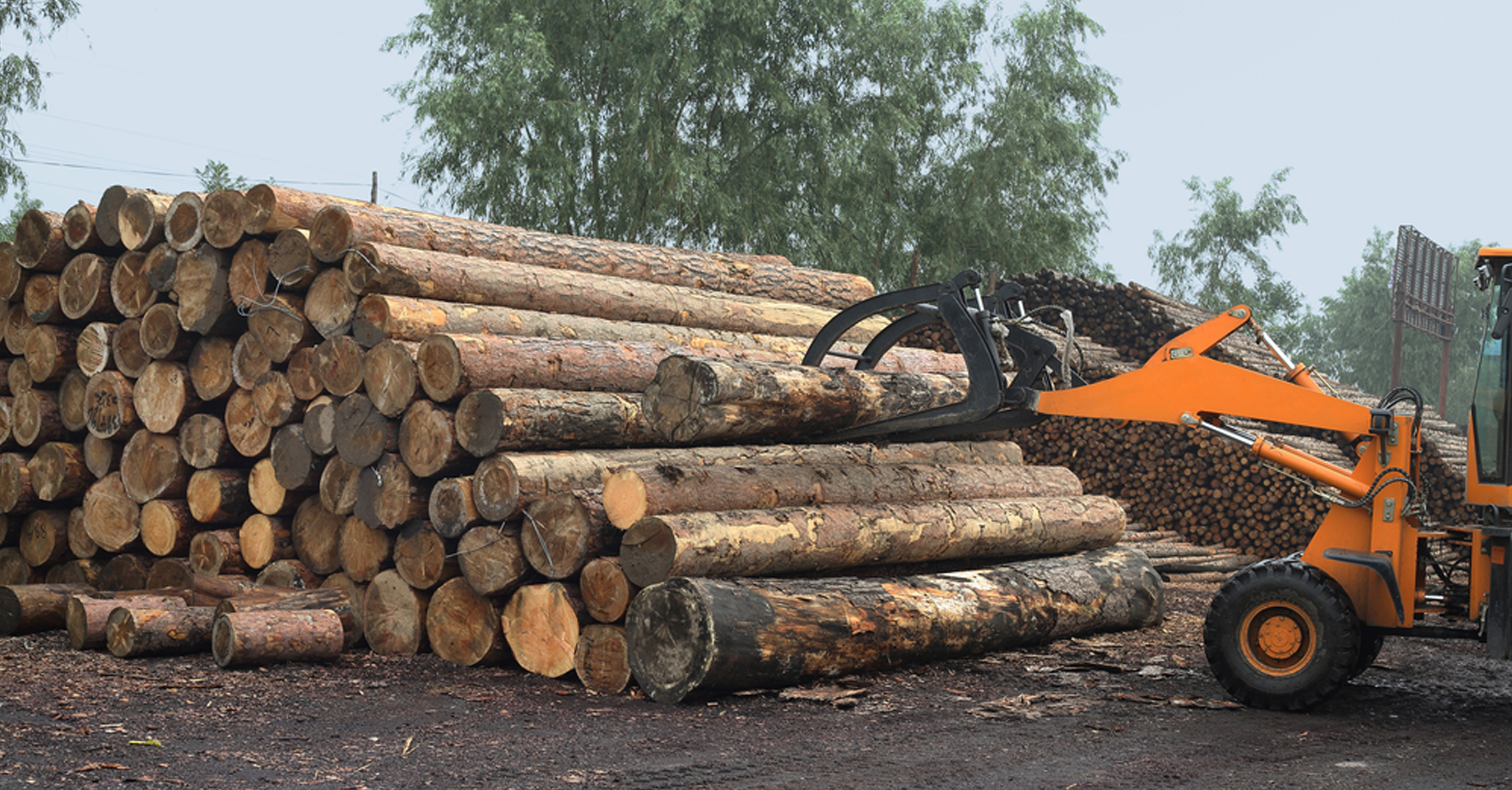 LaSalle Lumber equipment and logs image