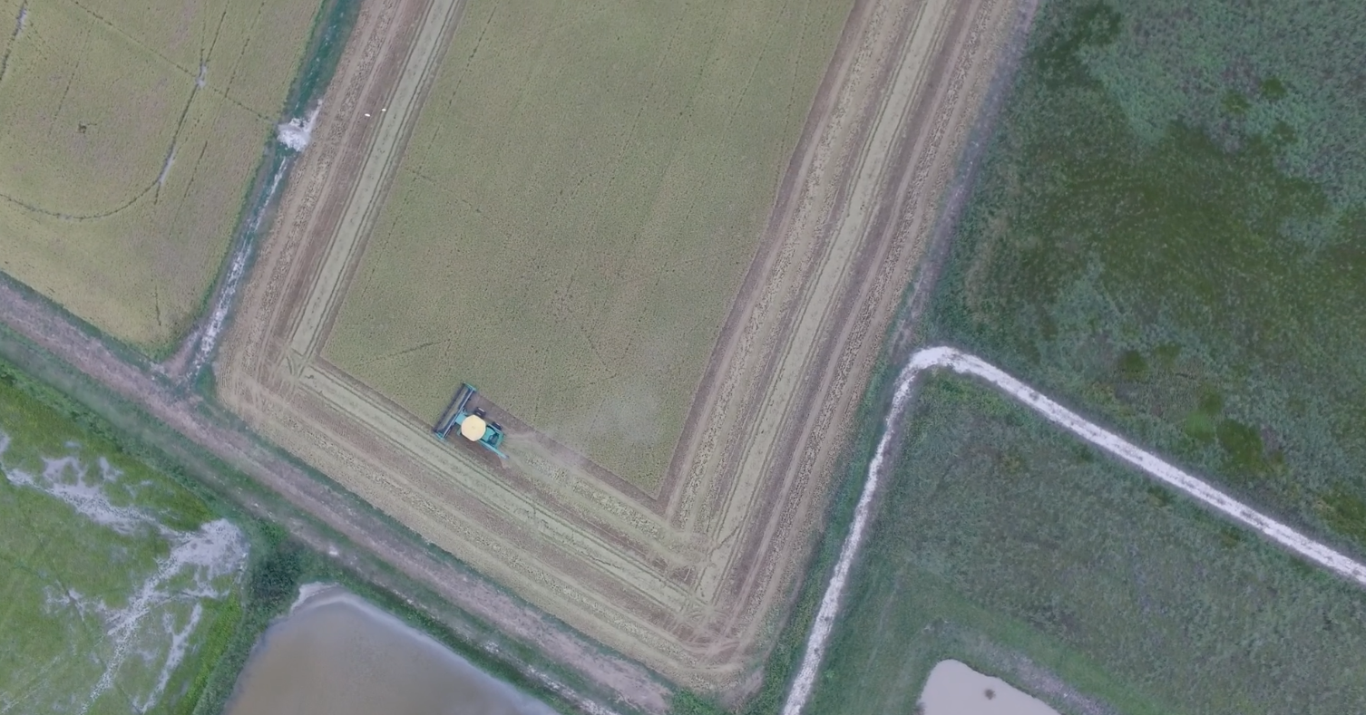 Screenshot2025-11-19at8.08.22AM