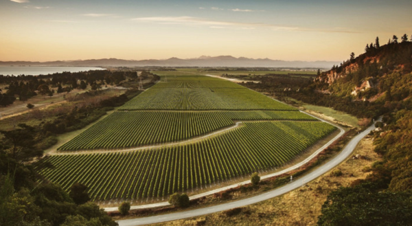 Landscape shot of a large winery