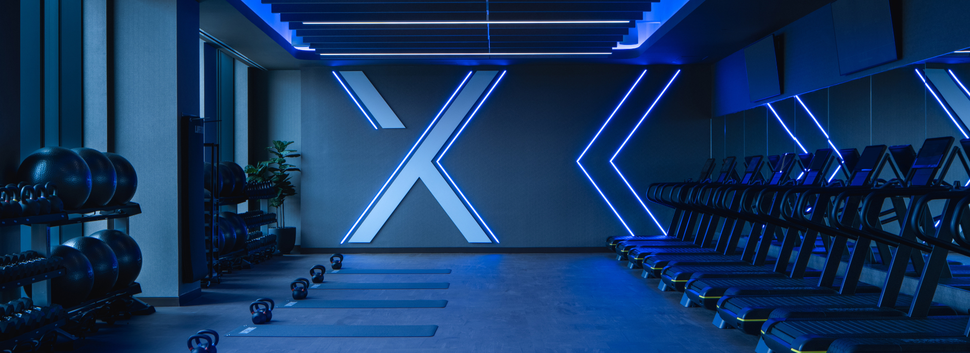 Life Time fitness studio showcasing mats, weights, treadmills, and various other exercise equipment in a blue light studio at Life Time.