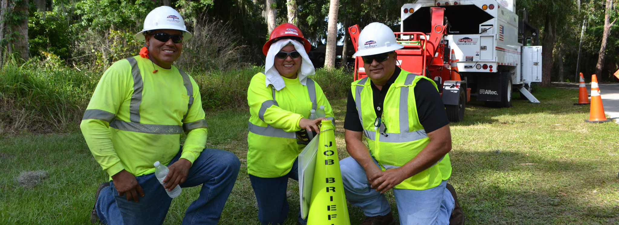 Lewis Tree Service Jacksonville Fl