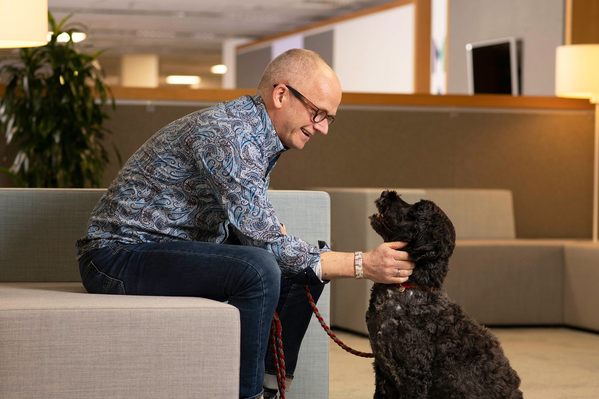 Experienced hires