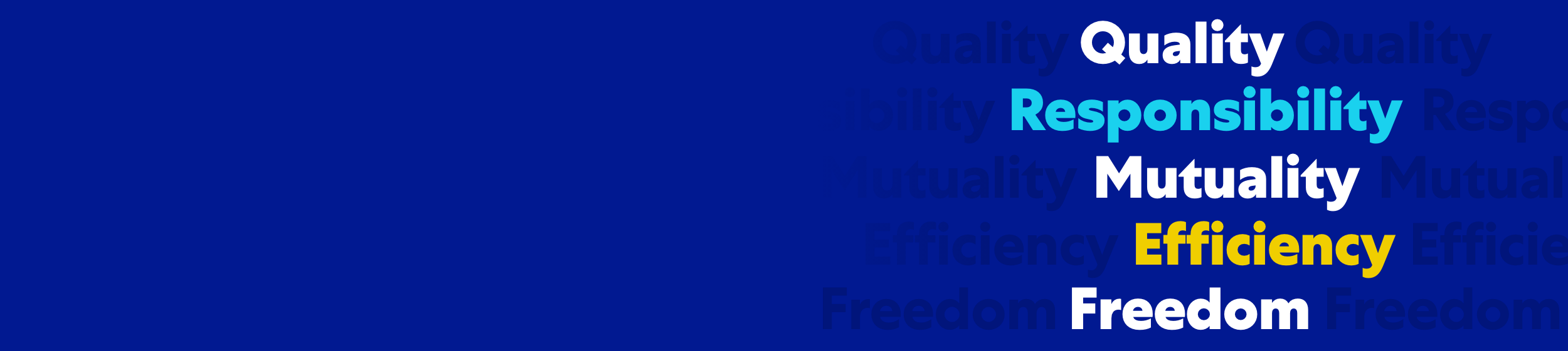 FivePrinciples_slim